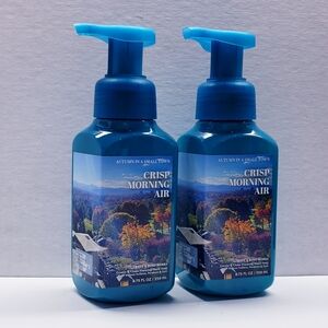Bath & Body Works CRISP MORNING AIR Gentle & Clean Foaming Hand Soap (2 pcs)